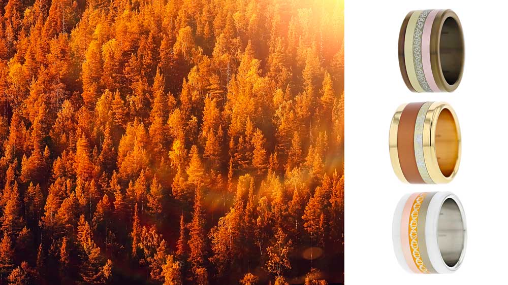 Automne 2022
