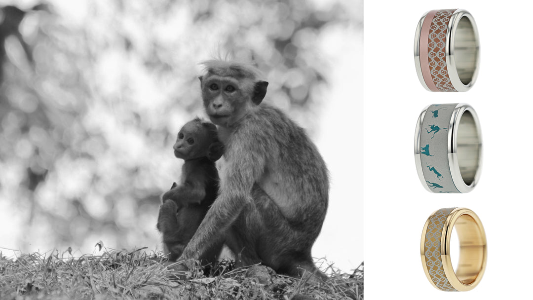 Monkey