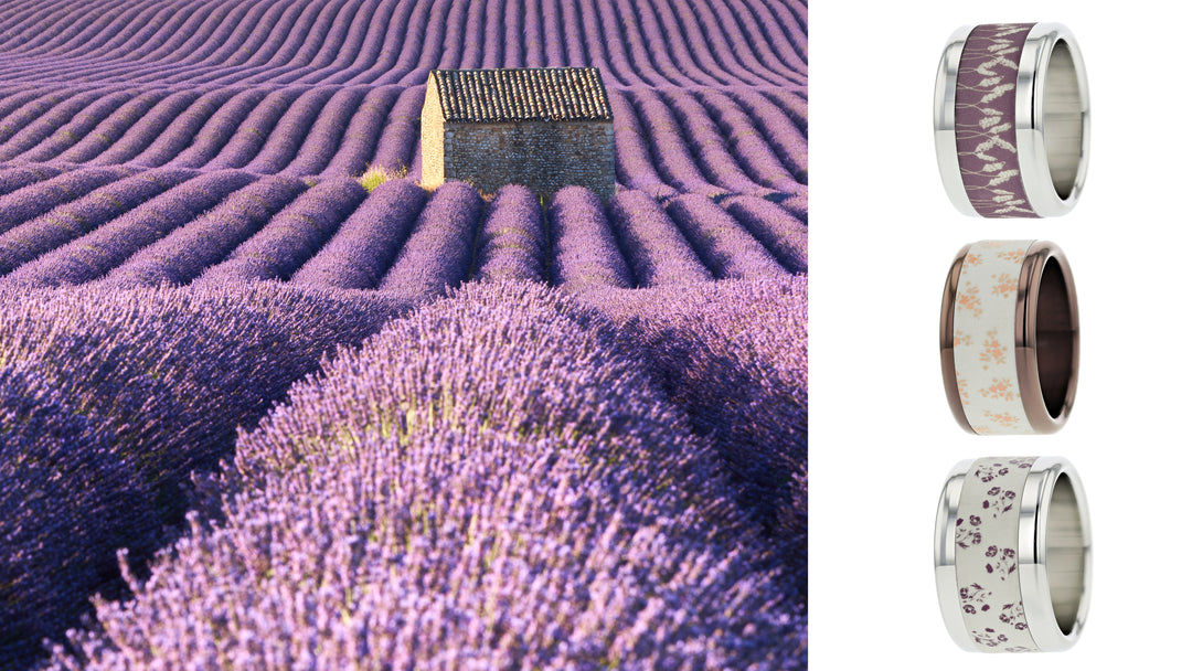 Sud de la France
