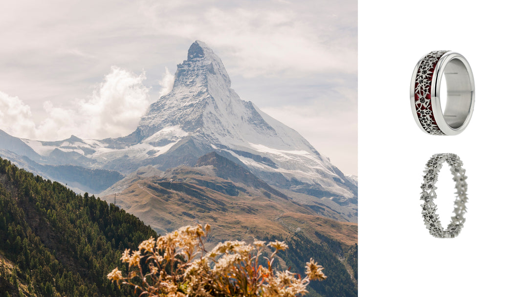 3D Edelweiss