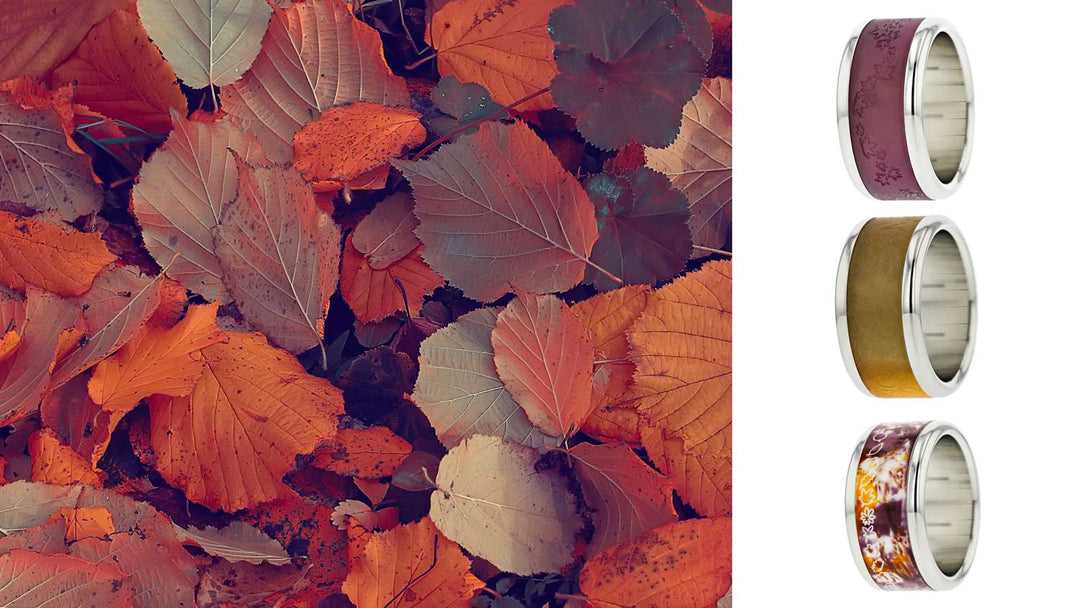 Feuilles d'Automne