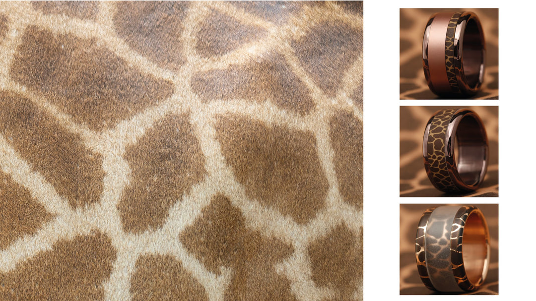 Girafes