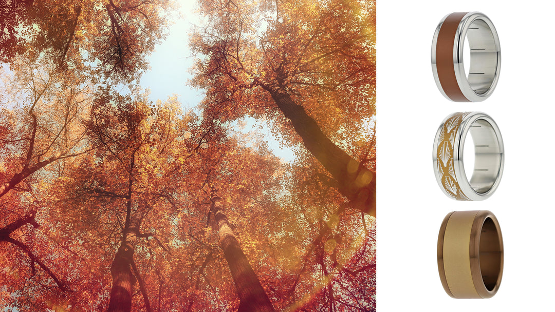Pack Automne 2020