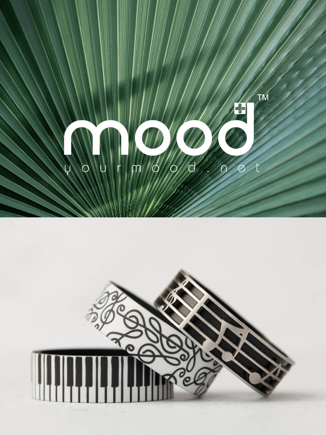 Coffret de juin 2023 : Palm