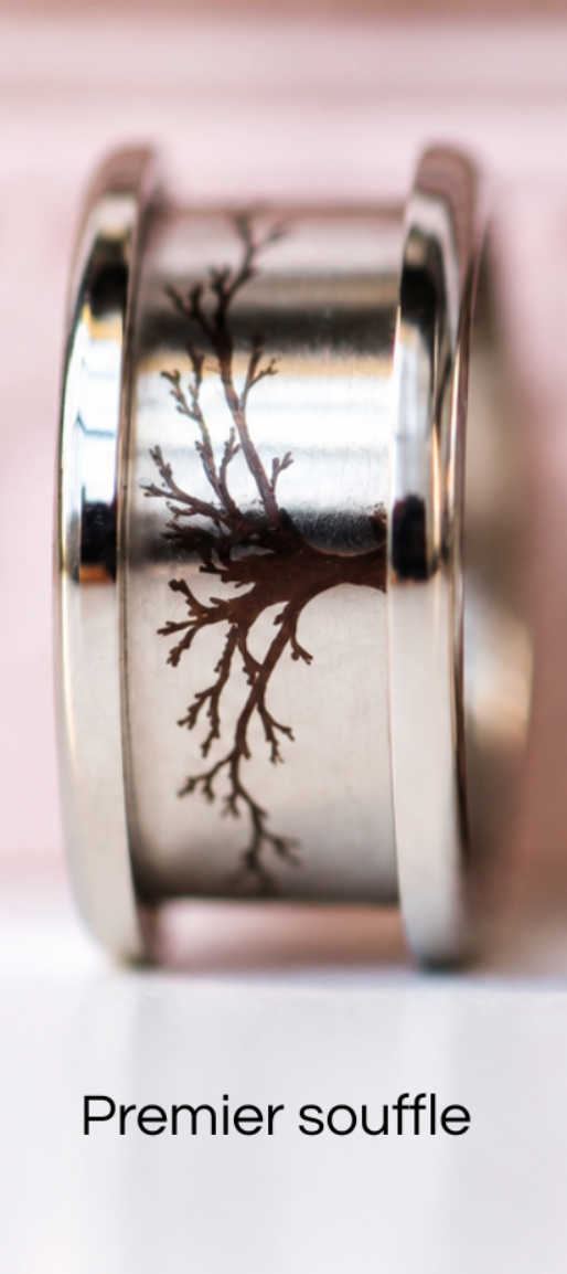 🍂 Base « Premier Souffle » — acier arrondie polie gravée, collection Sous-Bois