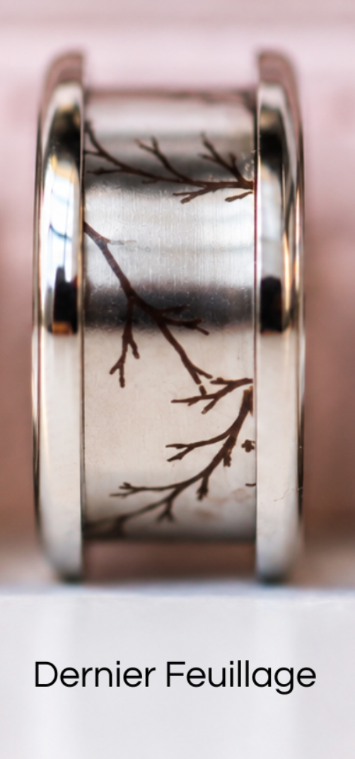 🍂 Base « Dernier Feuillage » — acier arrondie polie gravée, collection Sous-Bois