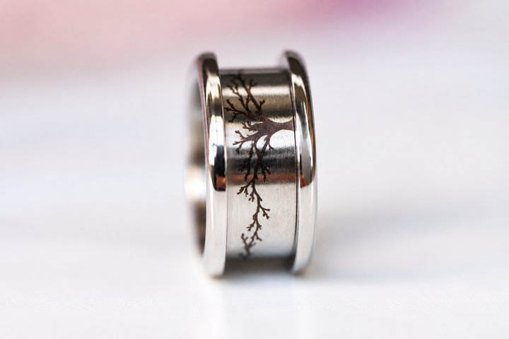 🍂 Coffret « Premier Souffle » — collection Sous-Bois
