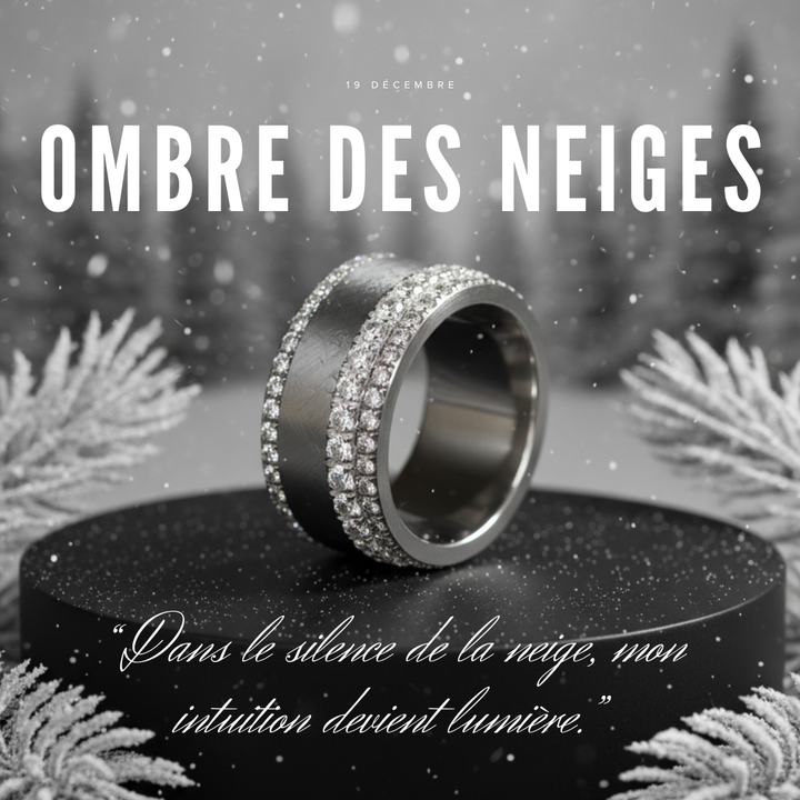 19 🎁 Anneau (deux tiers) "Ombre de Neige" en acier