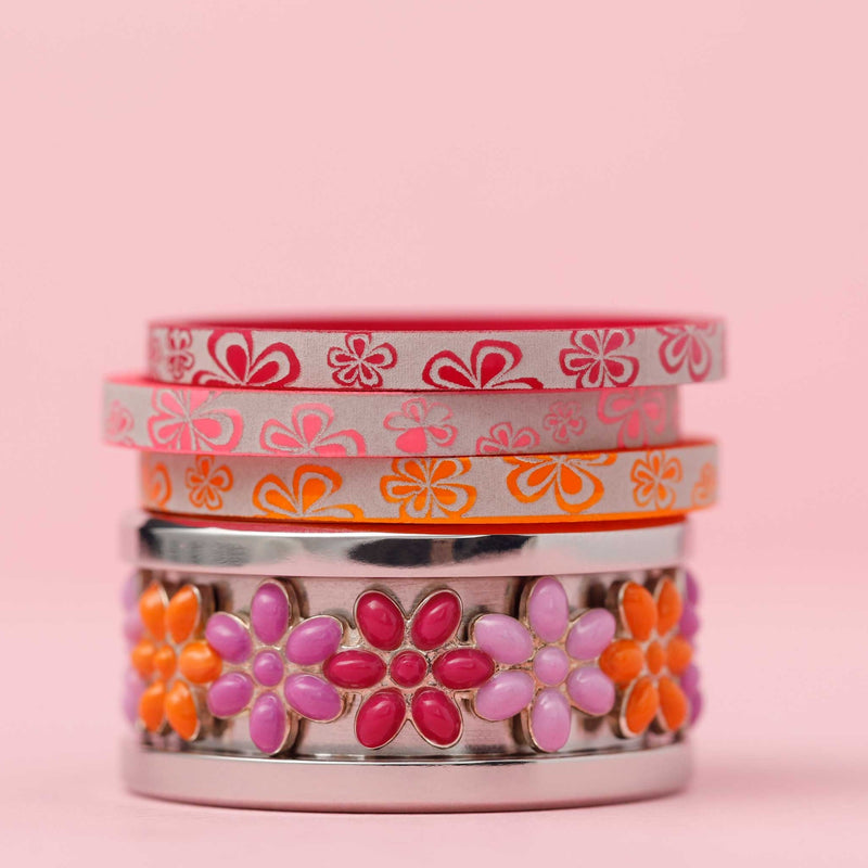 Coffret Nikki