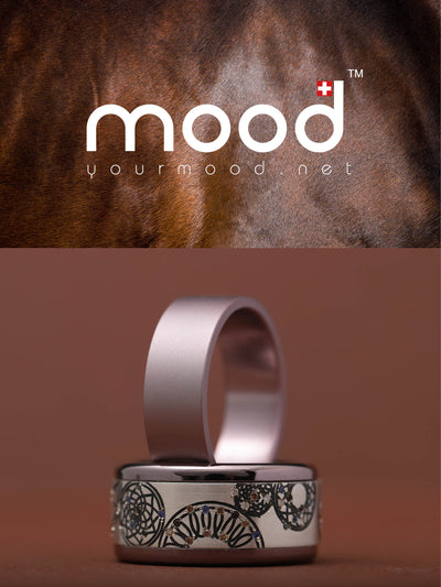 Coffret Woody
