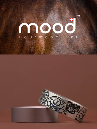 Coffret Woody