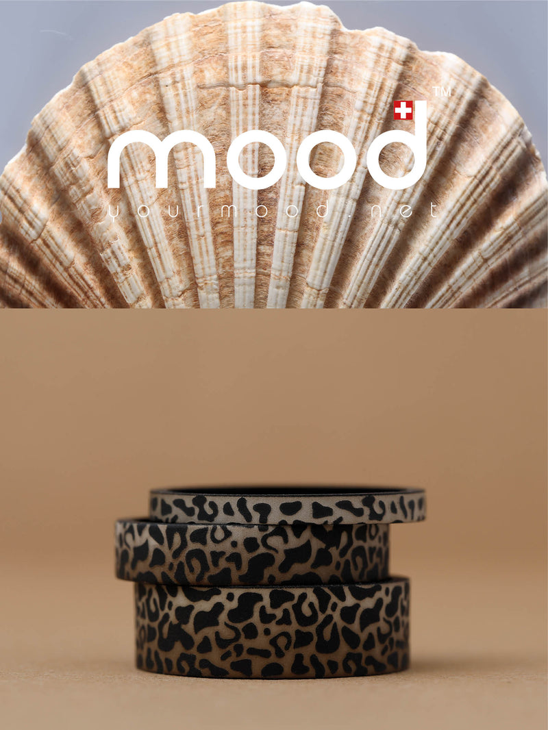 Coffret Shell
