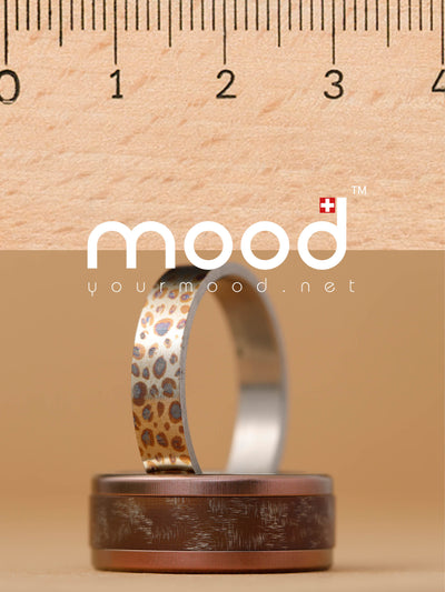 Coffret Ruler