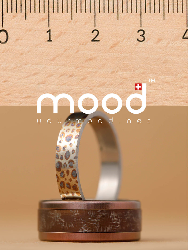 Coffret Ruler