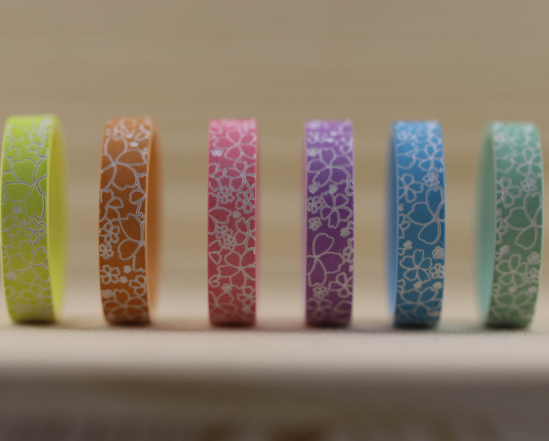 Set Sakura 2024 (6 sandblasted 2/3 addons) "Rainbow"