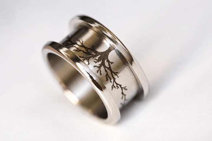 🍂 Coffret « Après la Pluie » — collection Sous-Bois