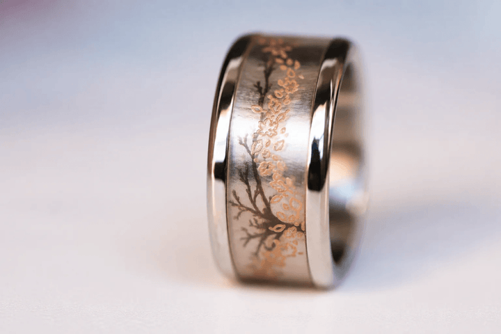 🍂 Coffret « Qui vole au vent » — collection Sous-Bois