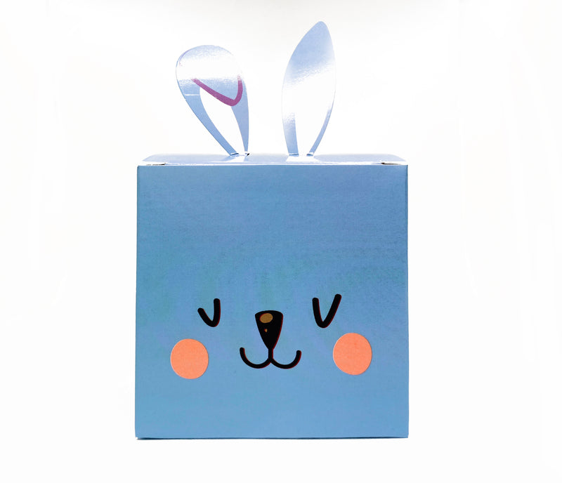 Box Bunny - surprise box with 8 addons (cold colors)