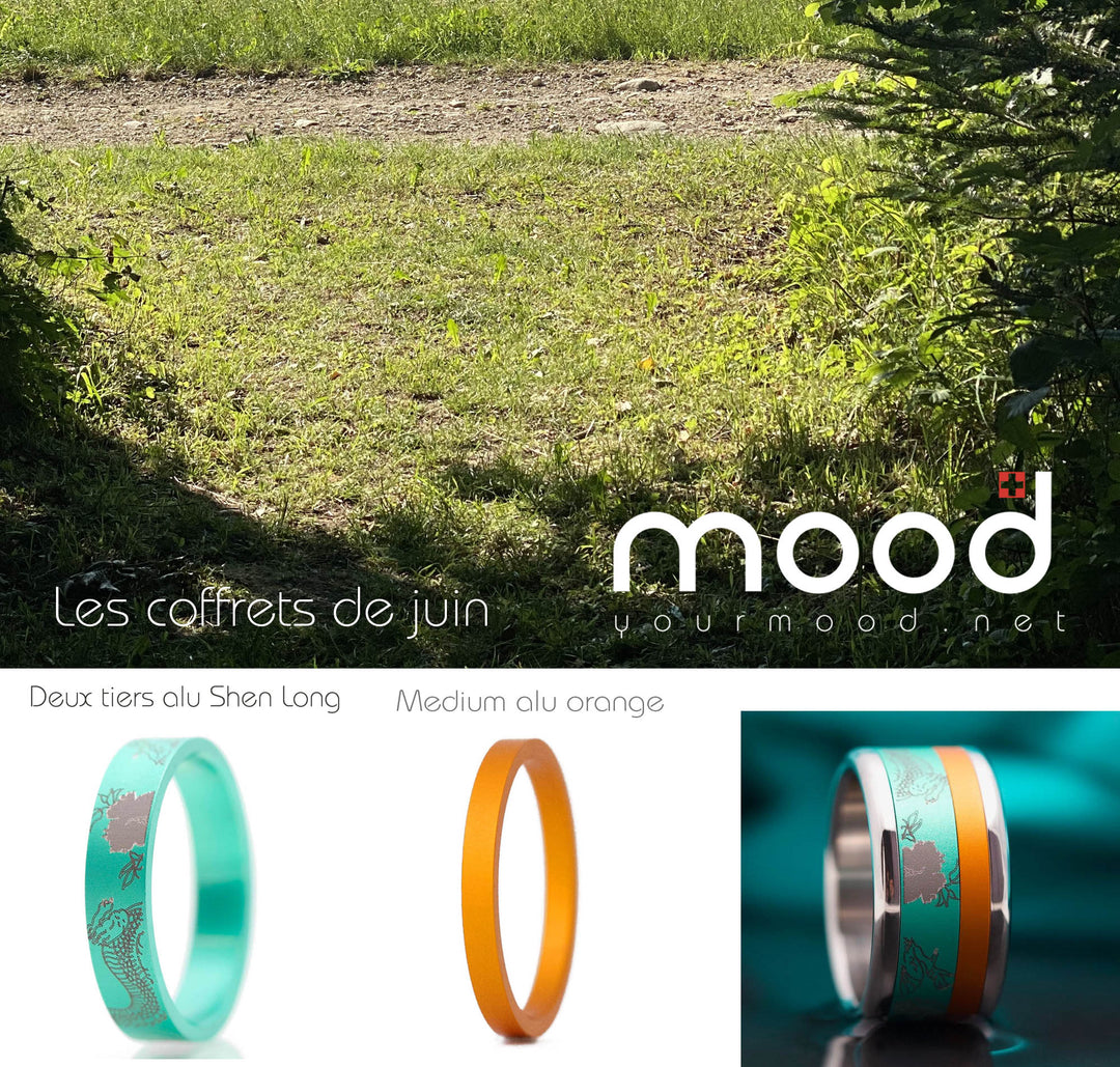 Pack D'addons - Coffret De Juin :   Shen Long Turquoise + Medium Orange