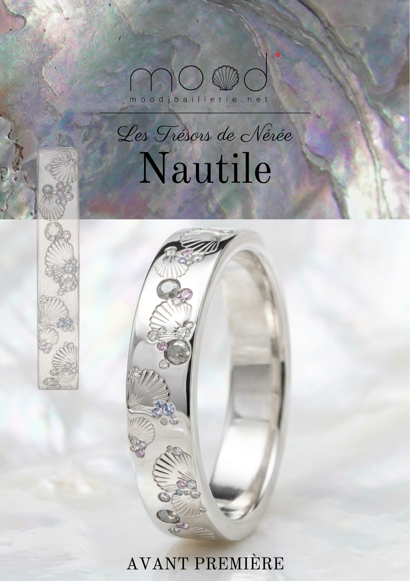 Nautile — Les Trésors de Nérée